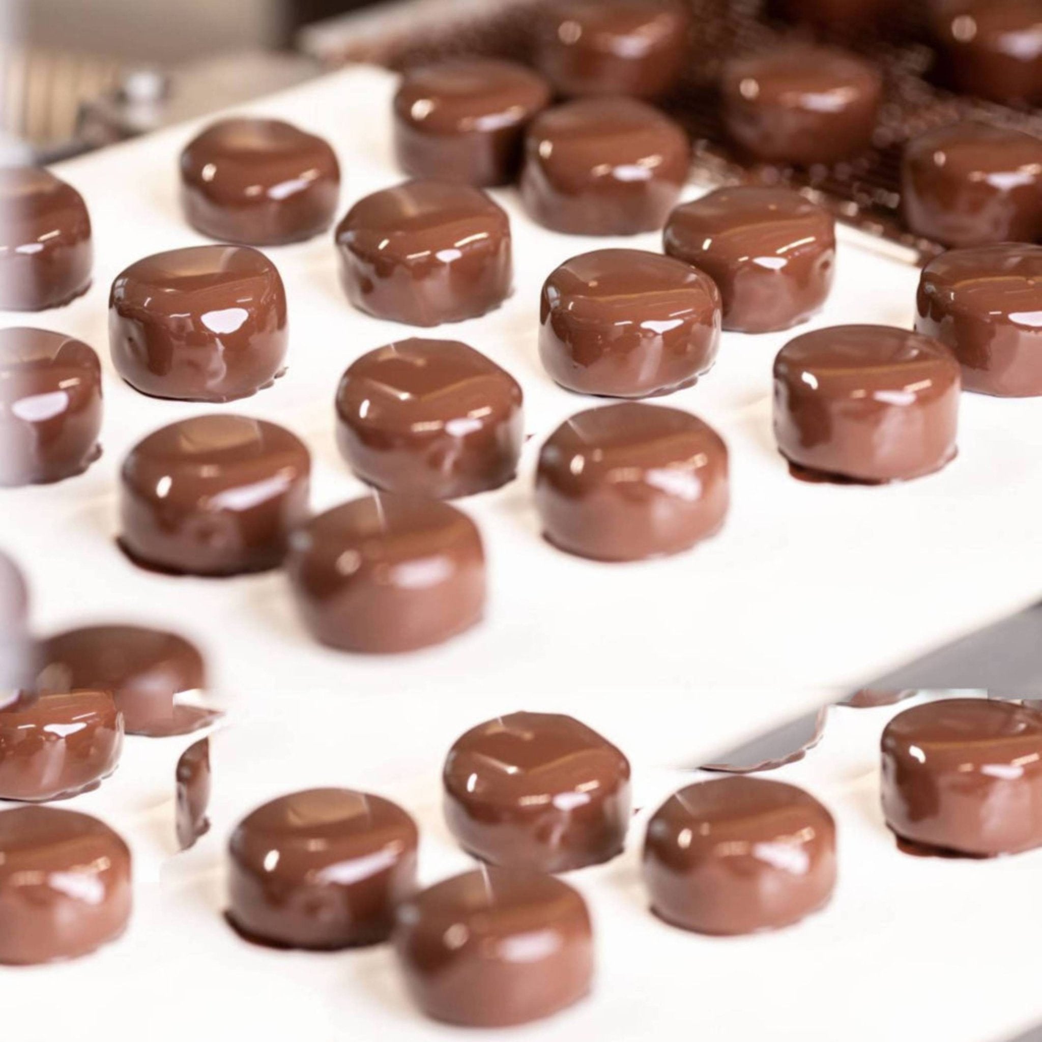 Explora la Exquisita Variedad del Chocolate Cuneesi Italiano - Andyanand