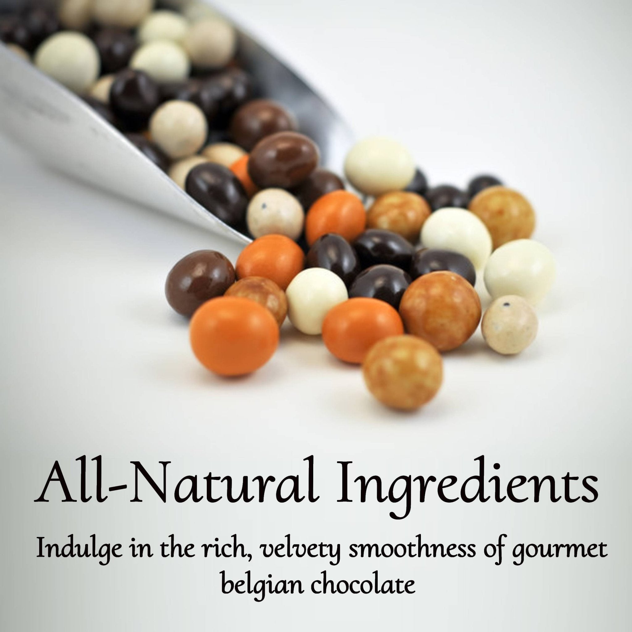 Espresso Coffee Chocolate Andy Anand Belgian Chocolate coated Espresso Coffee Bridge of 5 Flavors, Delicious, Divine, Delectable - 1 lbs, Decadent Treats: Chocolate Gift Box for Special Occasions - Andyanand