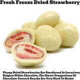 Andy Anand Fresh Freeze Dried Strawberries 24 Pcs Dipped in Premium Milk, White and Dark Chocolate Delicious-Decadent - Andyanand