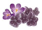 Andy Anand 50 Pc Sugar-Free Violets, A Typical Old Candy Dragée Shaped Like A Flower Of Five Petals Made With The Essence Of Violet - Andyanand