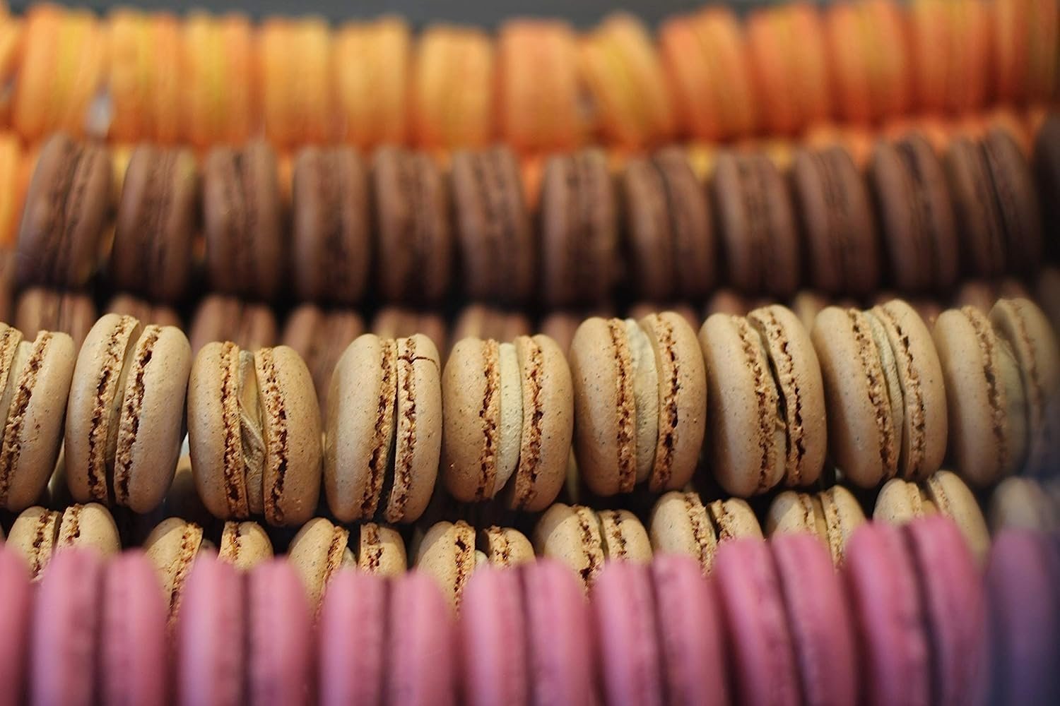 Colorful assortment of freshly baked French macarons, showcasing a variety of flavors and textures. Andy Anand Chocolates, All Products, Products, Pies, Fresh Baked Macaron.