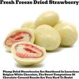 Andy Anand Fresh Freeze Dried Strawberries 48 Pcs Dipped in Premium Milk, White and Dark Chocolate Delicious - Decadent - Andyanand