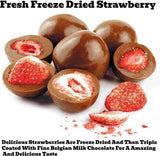 Andy Anand Fresh Freeze Dried Strawberries 48 Pcs Dipped in Premium Milk, White and Dark Chocolate Delicious - Decadent - Andyanand