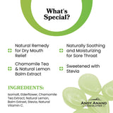 Andy Anand Delicious Sugar-Free Elderflower & Herbs Pastilles 7 Oz, Stevia Candy for Diabetics
